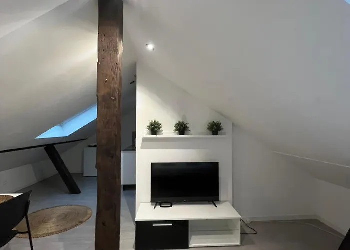 # Le 5 # Beau Rénové, équipé, Au Calme, Centre * Mulhouse